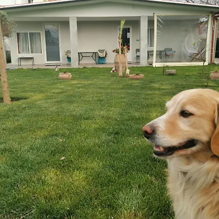 Villa Artemis Neoi Poroi Esterno foto