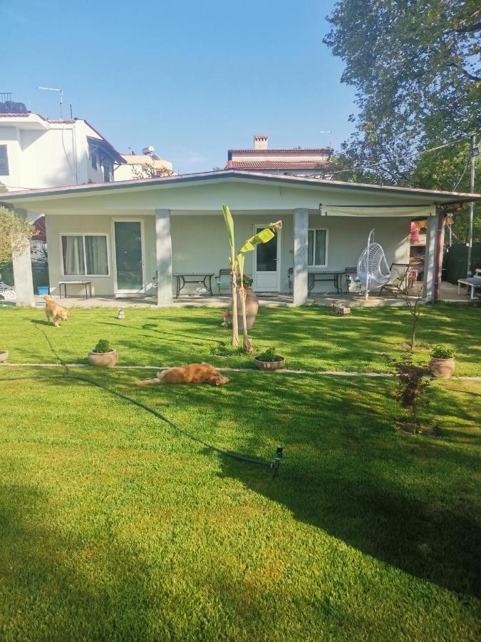 Villa Artemis Neoi Poroi